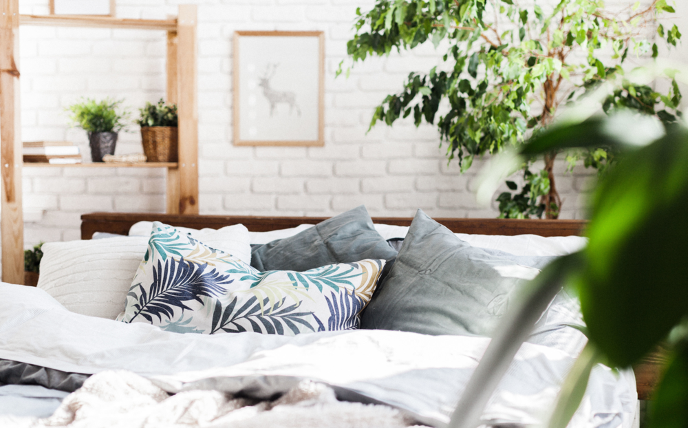 Turn Your Home into a Healthy, Serene Haven