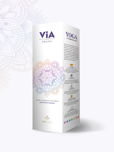 VitaJuwel ViA Yoga Water Bottle, PRANA